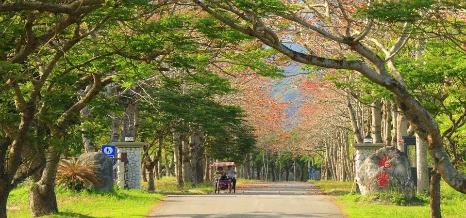 Hualien Shin Kong Chao Feng Leisure Farm Tickets