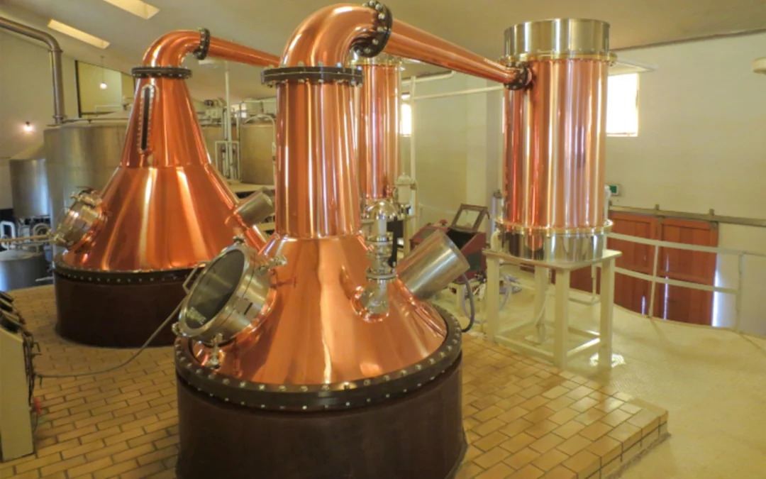 Hyogo: Eigashima Sake Brewery & White Oak Distillery Guided Tour with Tastings Image 5