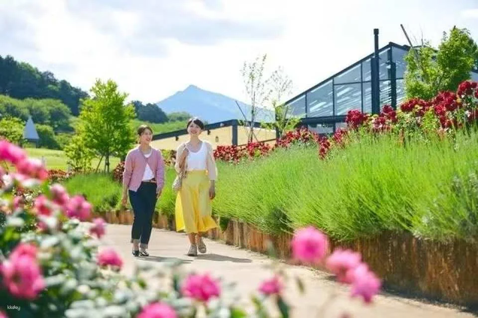 Ibaraki, Japan | Ibaraki Flower Park Tickets