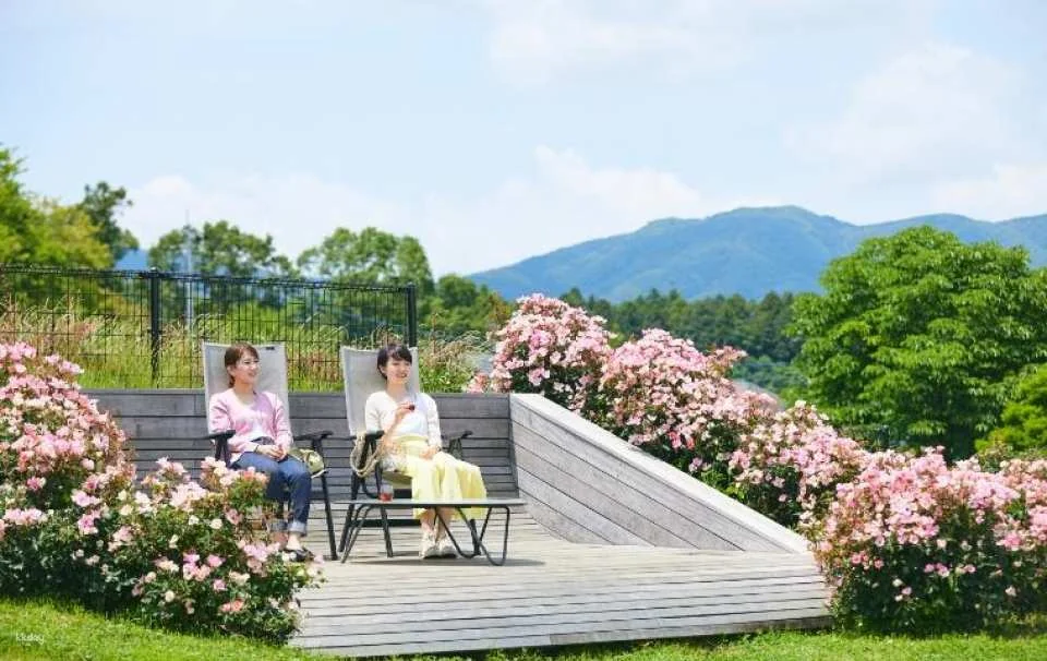 Ibaraki, Japan | Ibaraki Flower Park Tickets