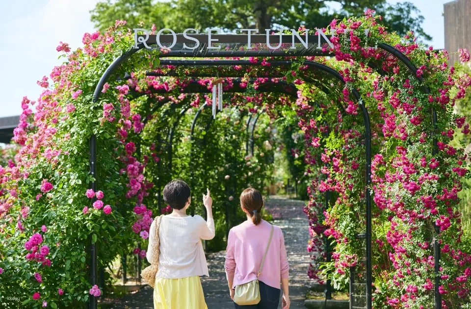 Ibaraki, Japan | Ibaraki Flower Park Tickets