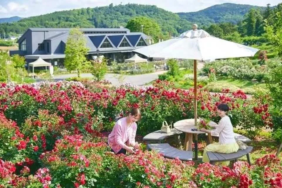 Ibaraki, Japan | Ibaraki Flower Park Tickets
