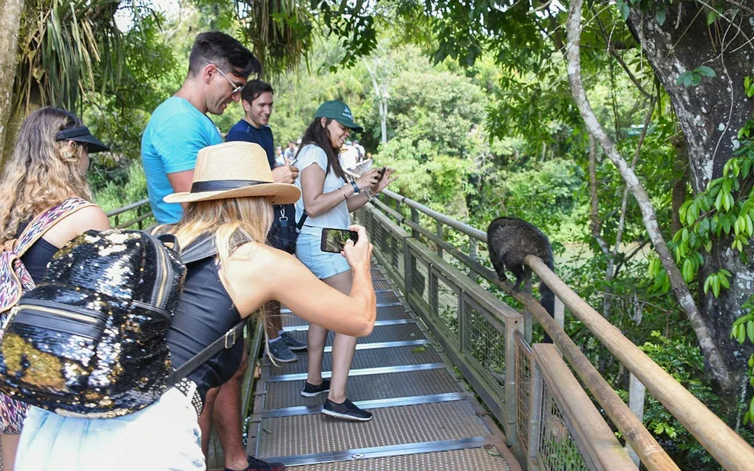 Iguazú Falls Entry Tickets: Argentina Side Access Image 11