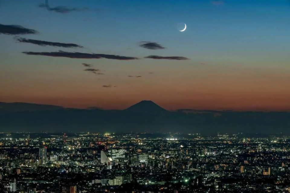 Ikebukuro Sunshine Aquarium Tickets・Sunshine 60 Observatory Park