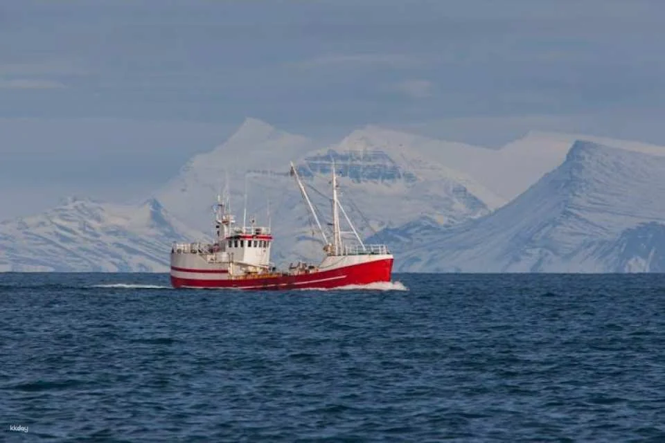 In-App Self-Guided Walking Tour to Discover Reykjavik