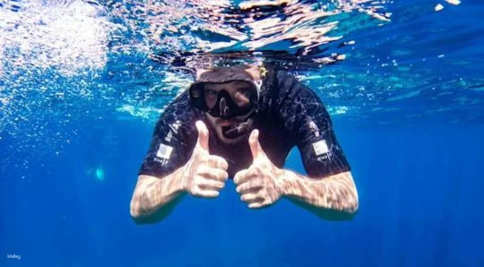 Individual snorkeling excursion by speedboat in Mallorca