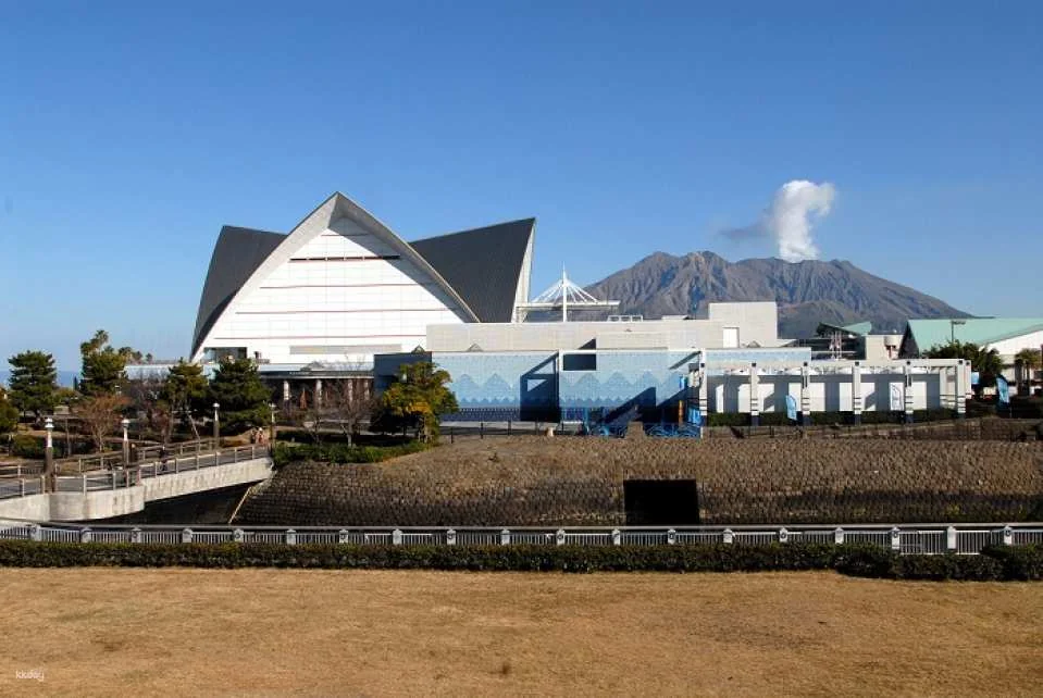 Io World Kagoshima City Aquarium Entrance Ticket | Japan