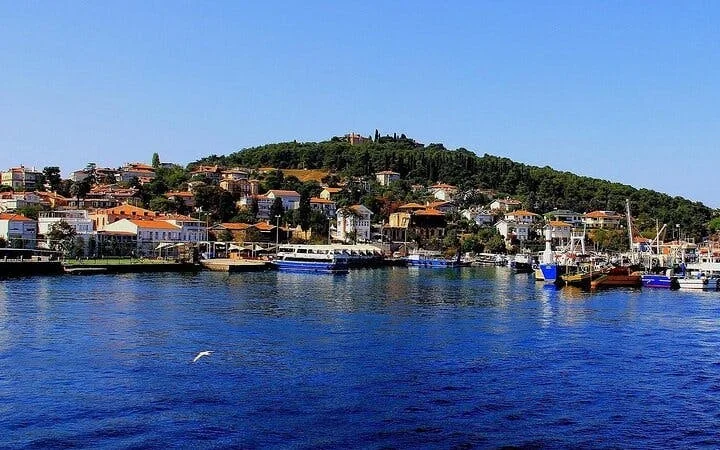 Istanbul All-Inclusive Princes’ Islands Tour+Lunch & Hotel Pickup Image 1