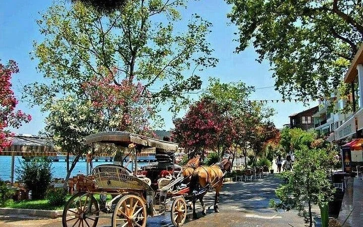 Istanbul All-Inclusive Princes’ Islands Tour+Lunch & Hotel Pickup Image 2
