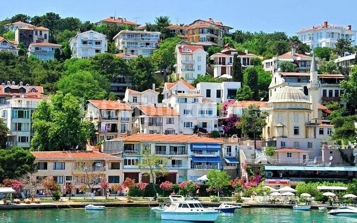 Istanbul All-Inclusive Princes’ Islands Tour+Lunch & Hotel Pickup Image 4