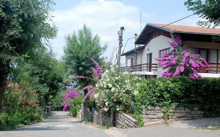 Istanbul All-Inclusive Princes’ Islands Tour+Lunch & Hotel Pickup Image 5