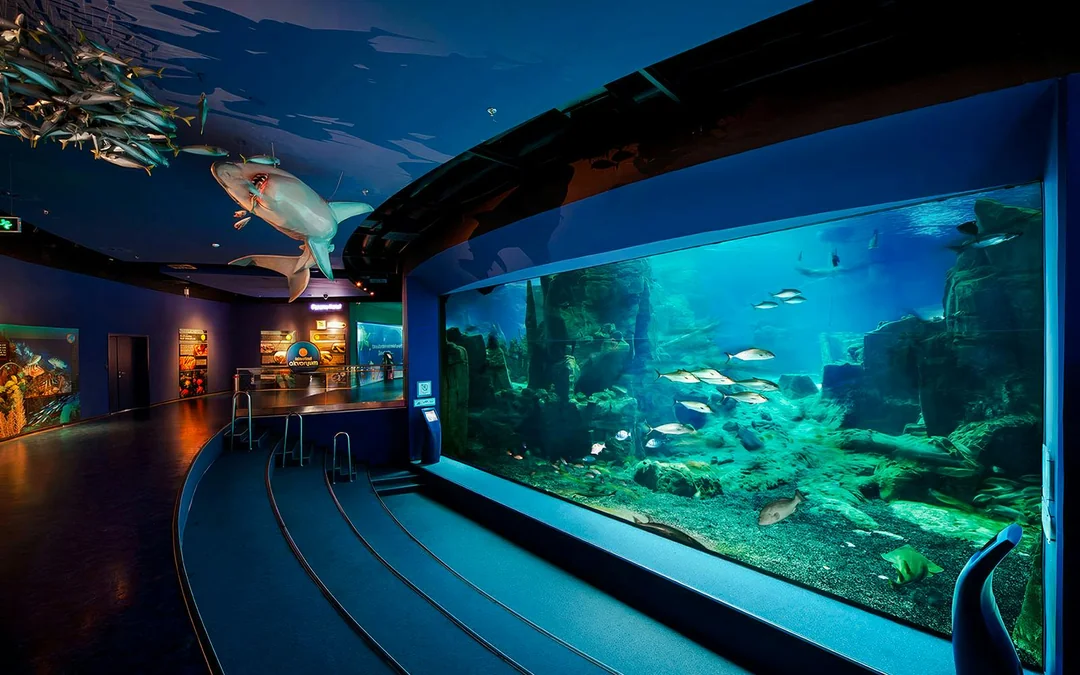 Istanbul Aquarium Skip-the-Line Tickets with Round-Trip Shuttle from Taksim Image 2