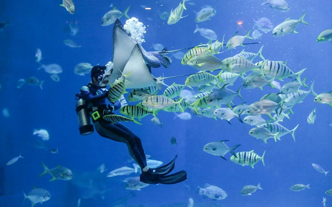 Istanbul Aquarium Skip-the-Line Tickets with Round-Trip Shuttle from Taksim Image 4