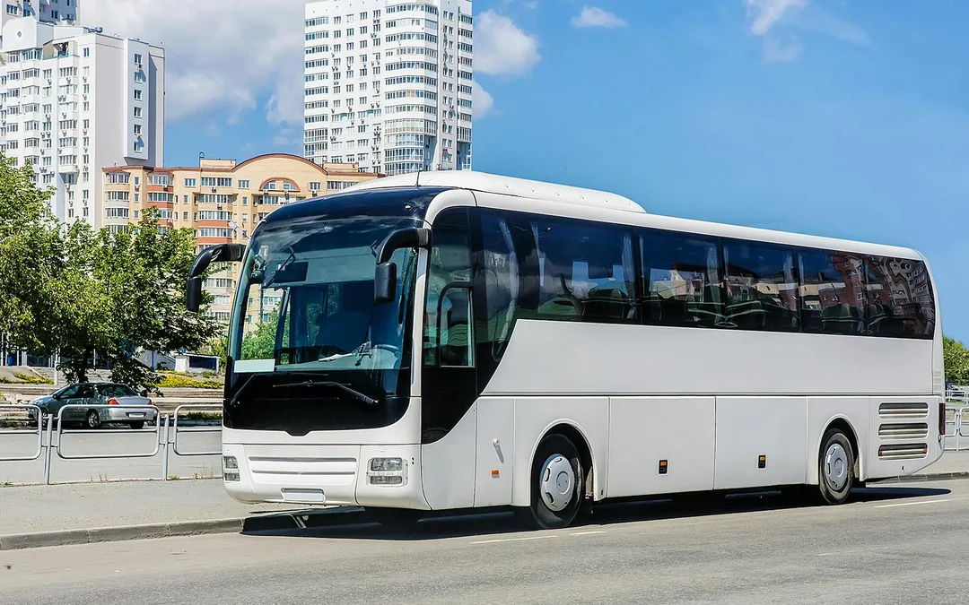 Istanbul Aquarium Skip-the-Line Tickets with Round-Trip Shuttle from Taksim Image 5