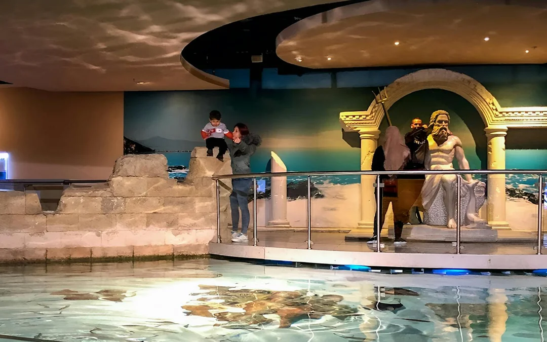 Istanbul Aquarium Skip-the-Line Tickets with Round-Trip Shuttle from Taksim Image 9
