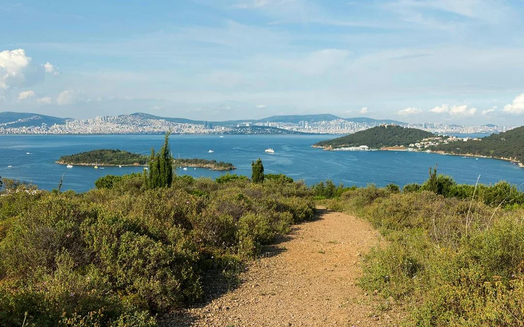 Istanbul City Tourist Pass: Access to 120+ Attractions & Services Image 11