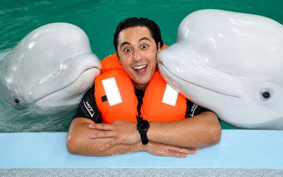 Istanbul Dolphinarium Show and Dolphin Swimming Experience Tickets Image 2