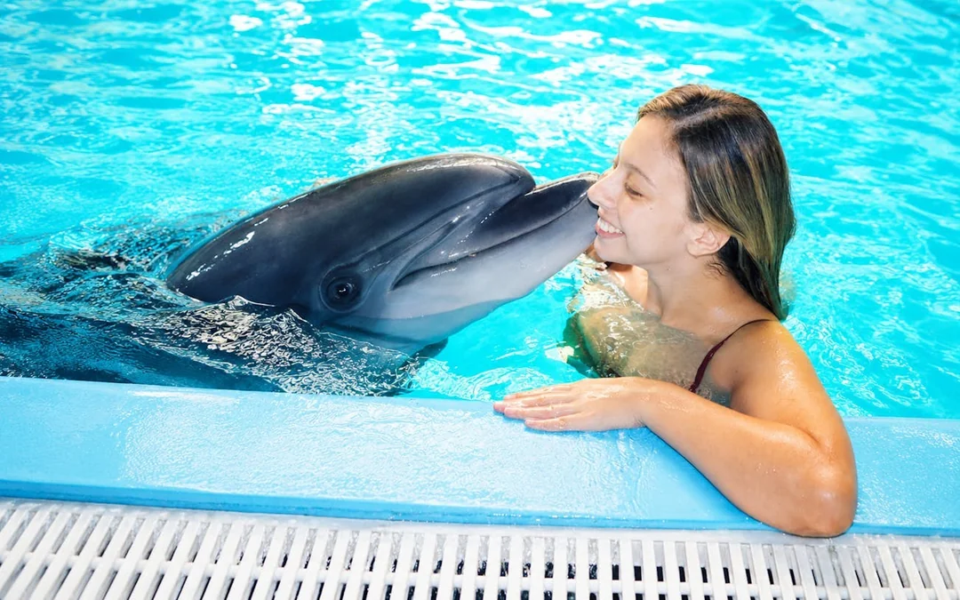 Istanbul Dolphinarium Show and Dolphin Swimming Experience Tickets Image 6