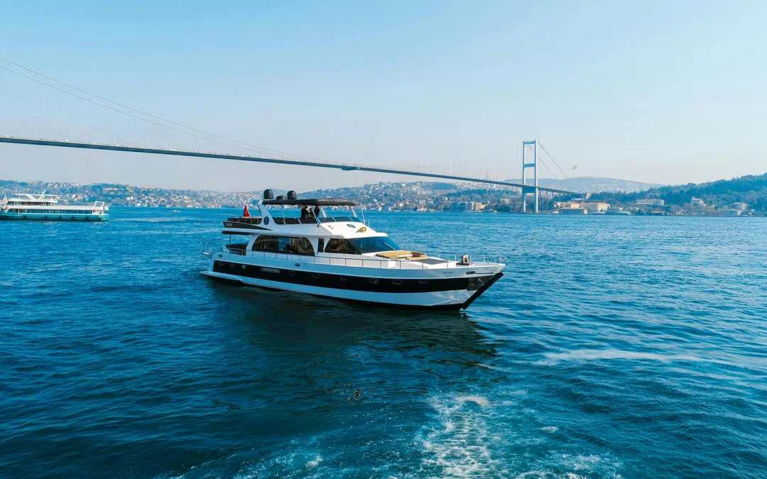 Istanbul: Guided Bosphorus Afternoon Sightseeing Cruise Image 1