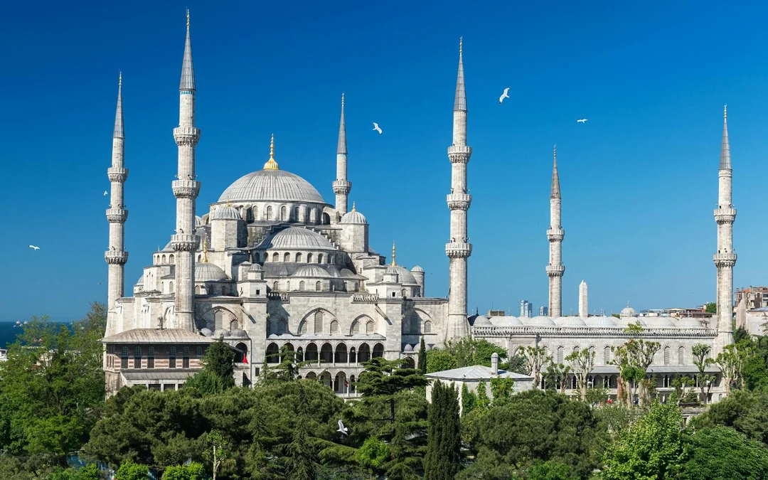 Istanbul Top Museums 3-Day Pass: Guided Tour + Entry Tickets & Free Bosphorus Cruise Image 4