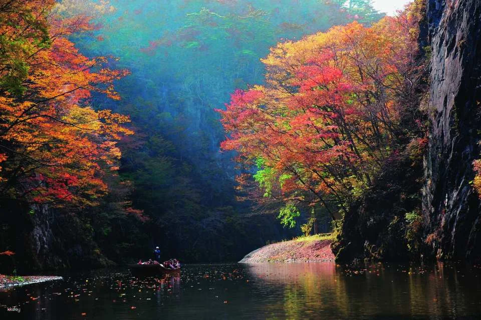 Iwate Geibi Gorge｜Cruise tour Local specialties set or winter limited hot pot set