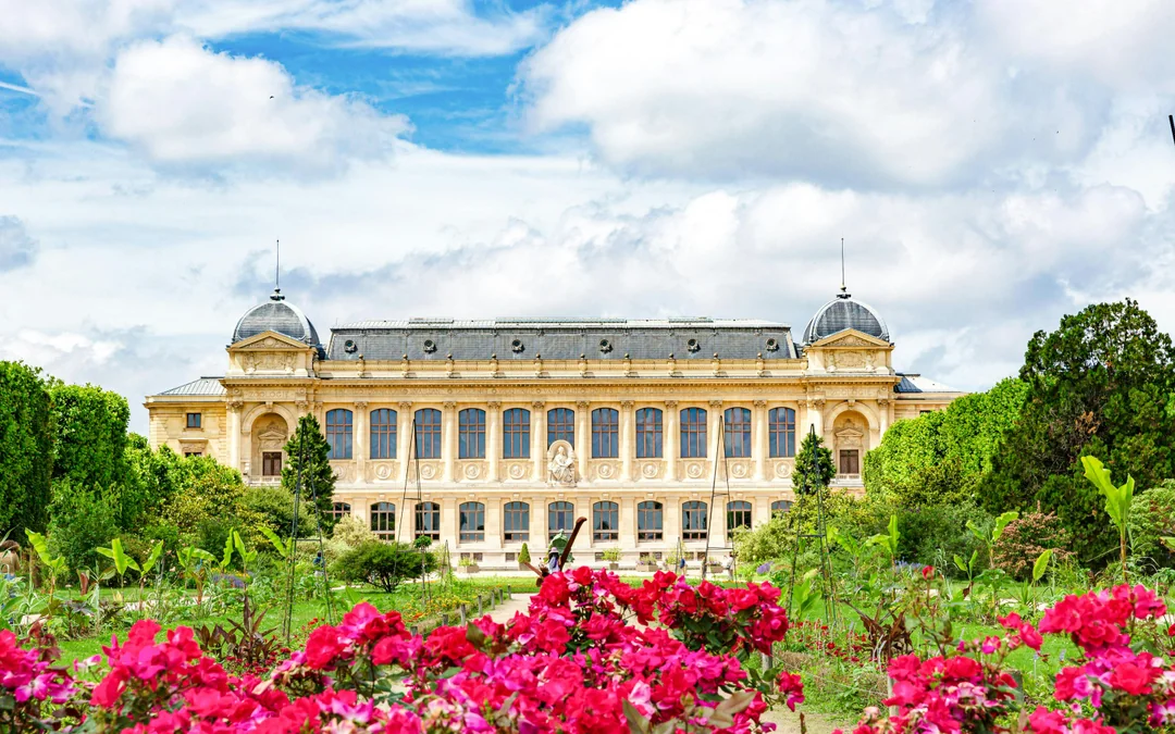 Jardin des Plantes: Grande Galerie de l'Évolution Entry Ticket Image 6