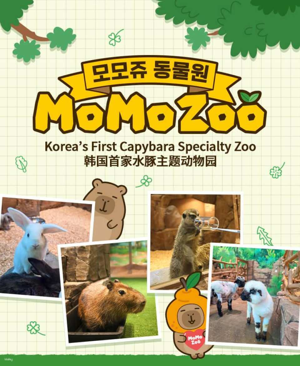 Jeju | Momoju (Jeju Shinhwa World Branch)