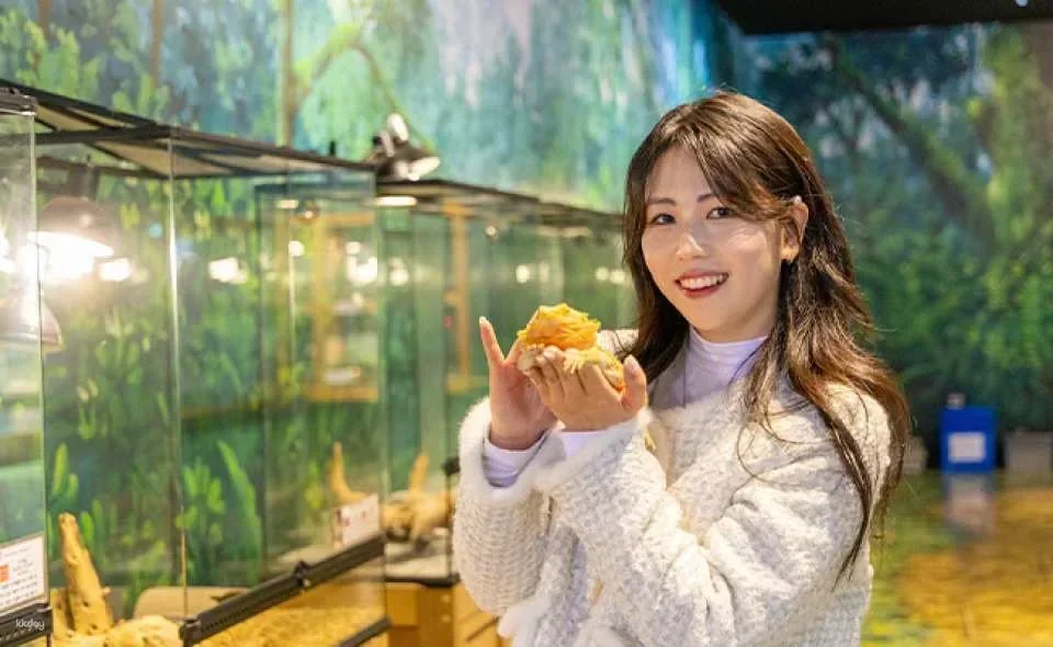Jeju Van Gogh Garden Admission Ticket