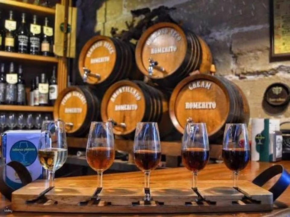 Jerez historic centre tour and tasting of 2 sherry wines