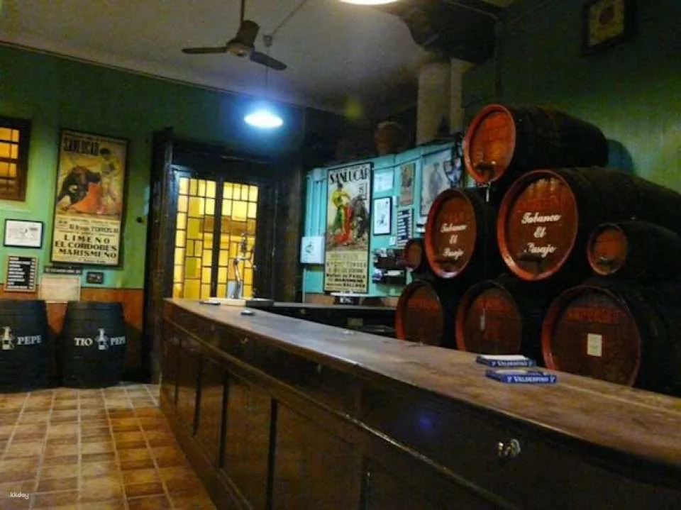Jerez historic centre tour and tasting of 2 sherry wines