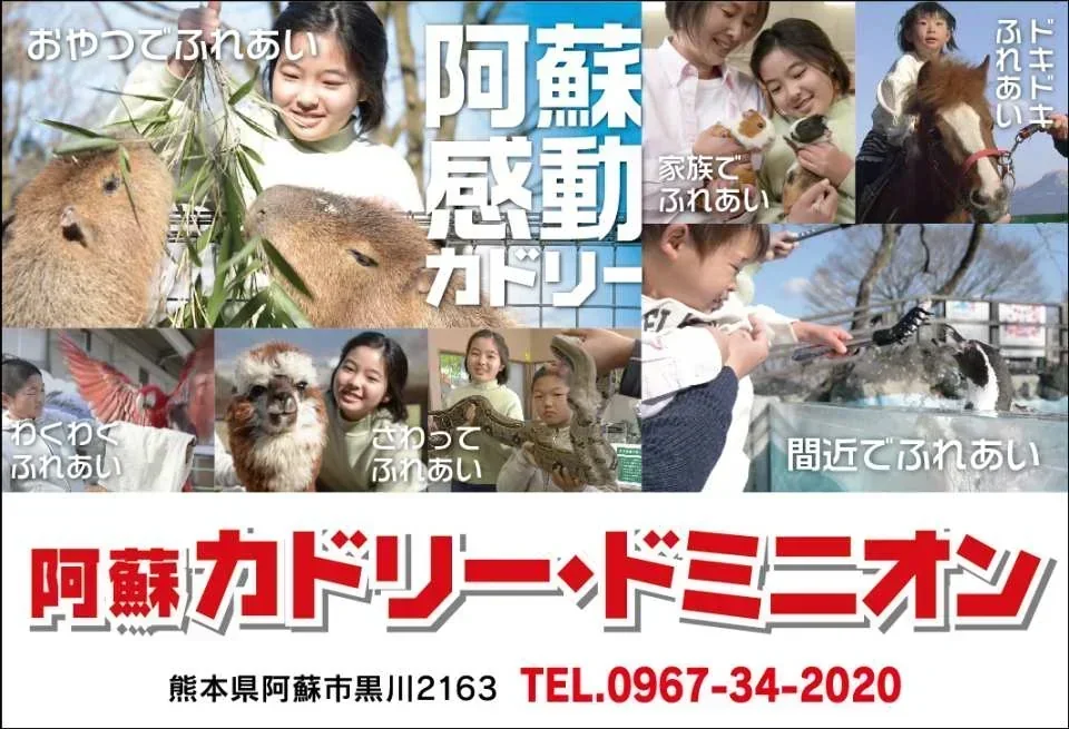 [JPY100 OFF for Advance Purchase] Aso Cuddly Dominion Admission Ticket in Kumamoto | Japan