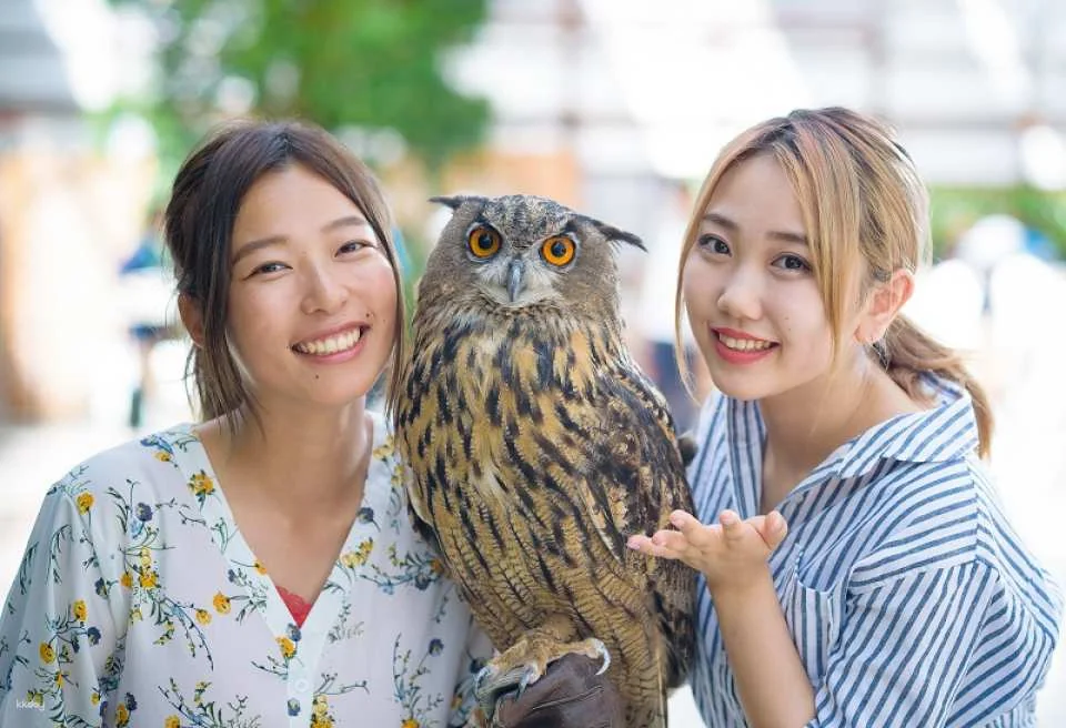 Kakegawa Kachouen: Kakegawa Flower and Bird Park | Japan