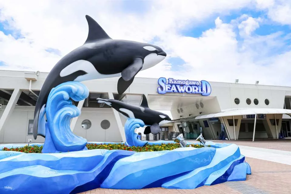 Kamogawa Sea World Admission Ticket (Chiba Prefecture, Aquarium)