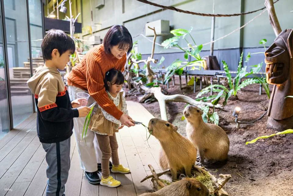 Kanagawa, Japan｜Kawasui Kawasaki Aquarium｜E-Ticket