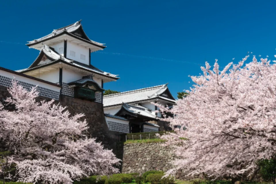 Kanazawa City: Bunka no Mori Odekake Pass | Japan