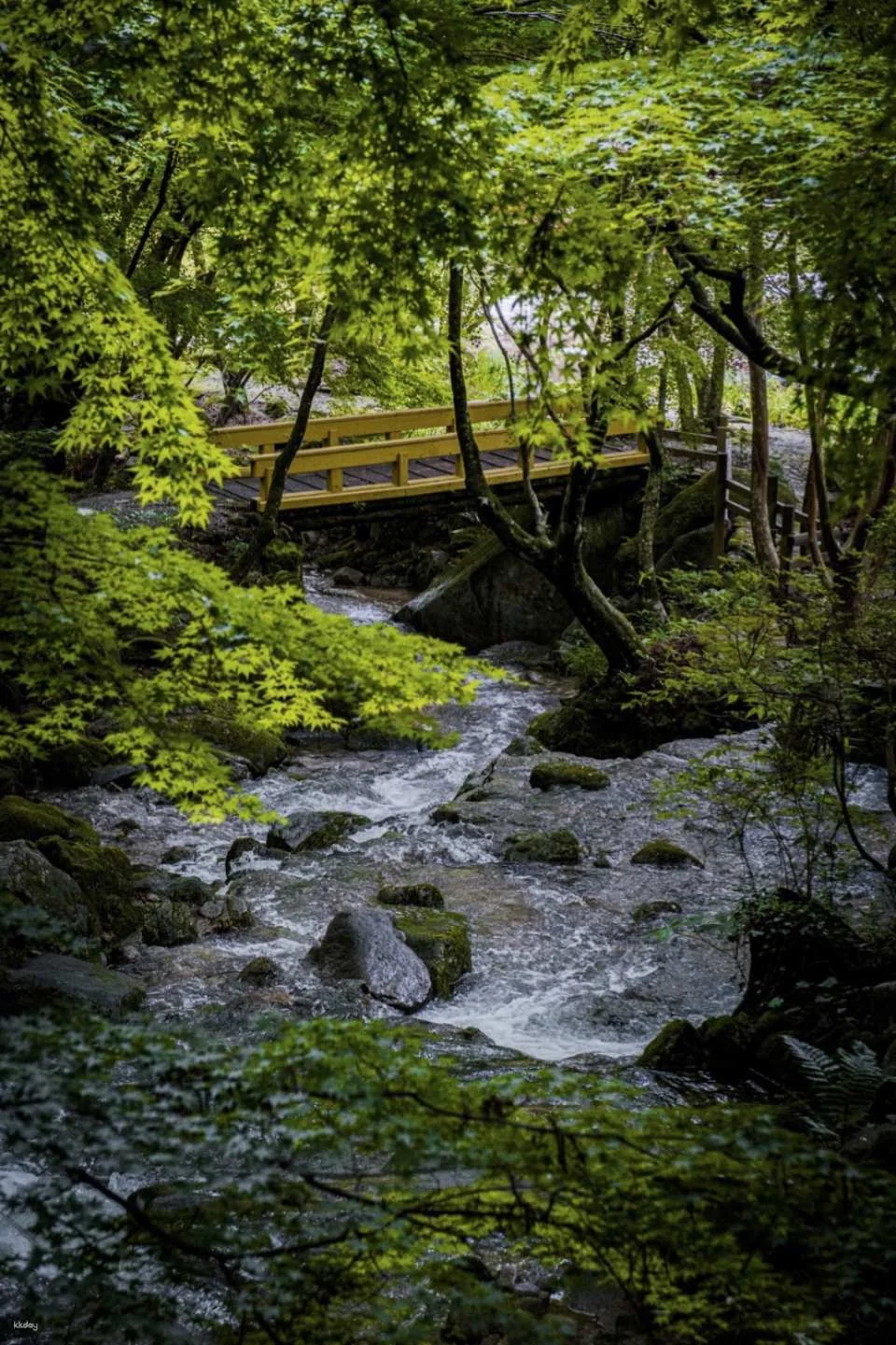 Kankyo Geijutsu No Mori (Forest of Environmental Art) Ticket | Japan