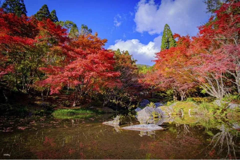 Kankyo Geijutsu No Mori (Forest of Environmental Art) Ticket | Japan