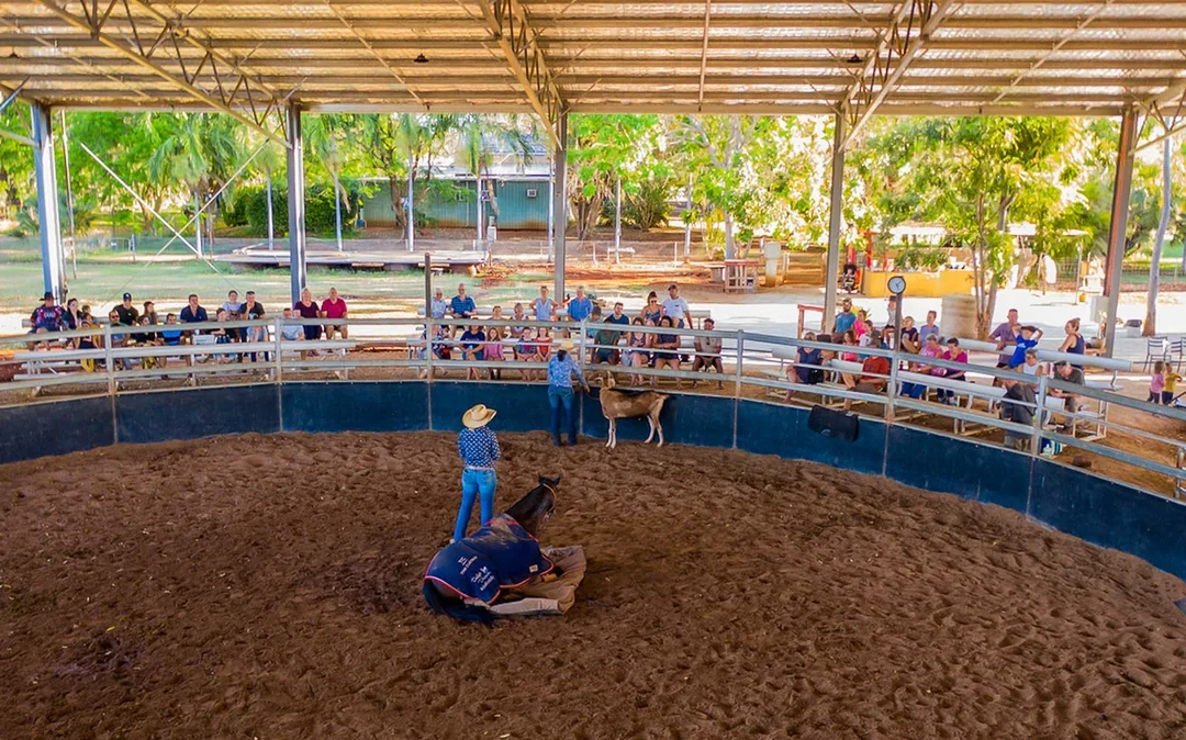 Katherine Outback Experience - 2 Hour Show Image 2