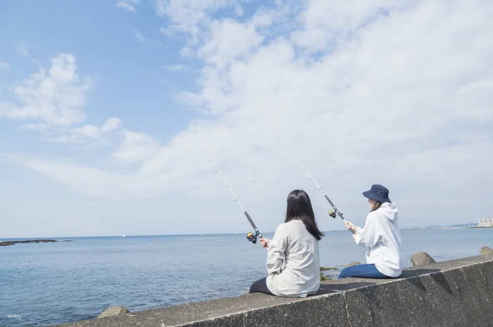 Keikyu Hayama Excursion Discount Ticket|Departing from Shinagawa or Yokohama | Buy and Use Instantly