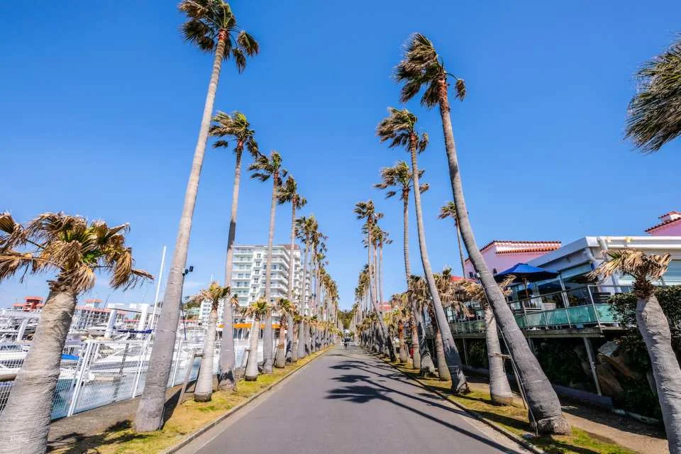 Keikyu Hayama Excursion Discount Ticket｜Departing from Shinagawa or Yokohama | Buy and Use Instantly