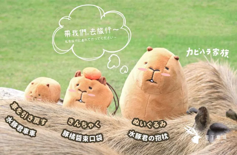 Kenting Lujing Sika Deer Ecological Park Ticket