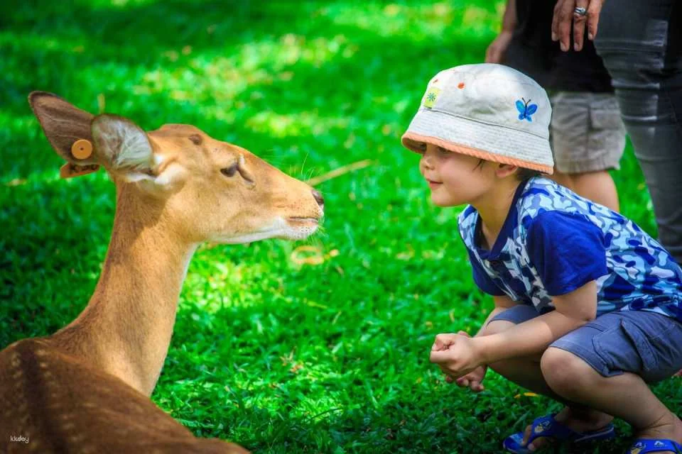 Khao Kheow Open Zoo Private Tour | Chonburi