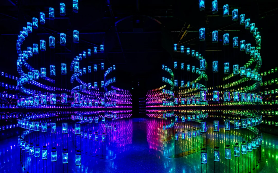[Kids Go Free] Museum of The Future Dubai Tickets Image 3