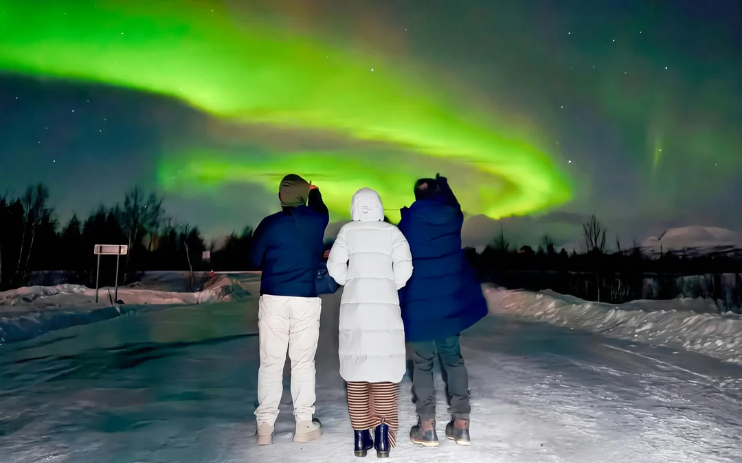 Kiruna: Small-Group Northern Lights Guided Tour with Pickup Image 3