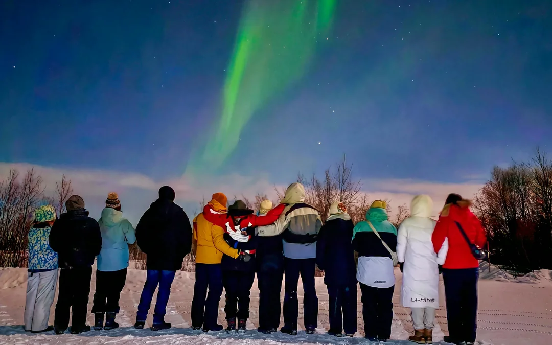 Kiruna: Small-Group Northern Lights Guided Tour with Pickup Image 4