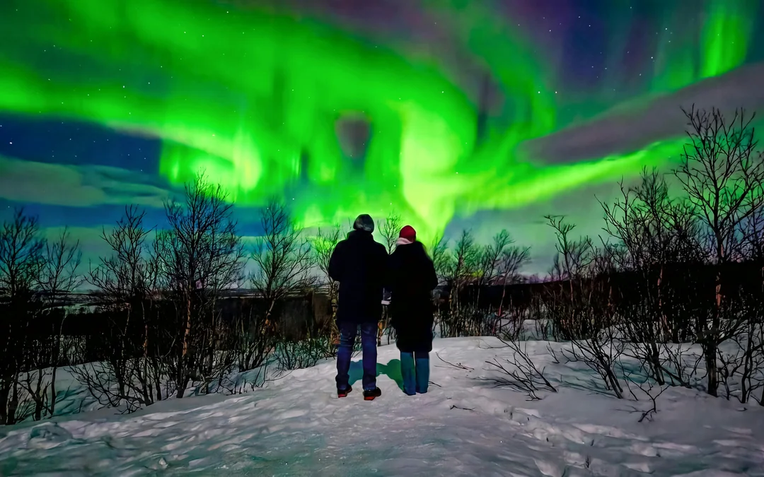 Kiruna: Small-Group Northern Lights Guided Tour with Pickup Image 5