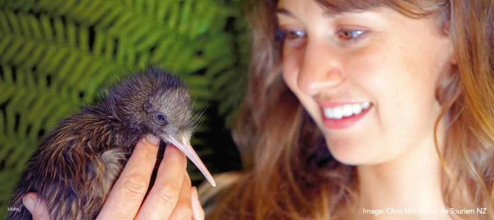 Kiwi Birdlife Park Queenstown Ticket | New Zealand