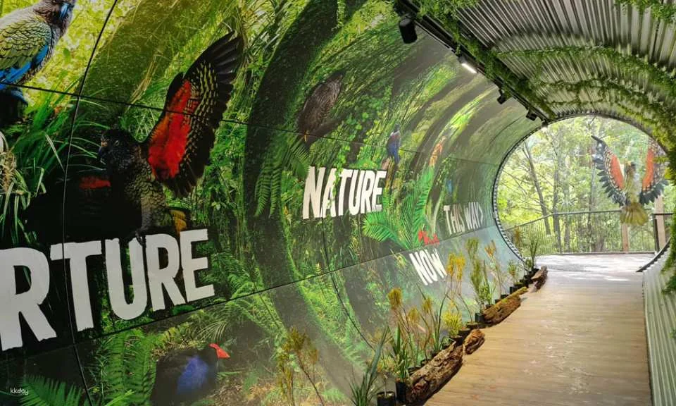 Kiwi Birdlife Park Queenstown Ticket | New Zealand
