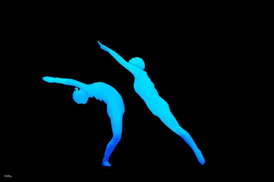 Black Light Theatre: Wow Show | Prague
