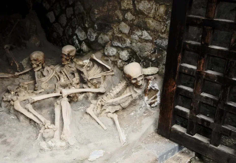 Herculaneum private and personalized tour with a local guide